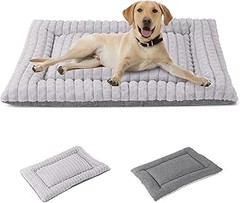 Las colchonetas para perros mejor valoradas según usuarios