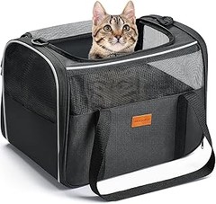 Comparativa de los mejores transportines para gatos según usuarios