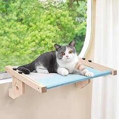 Opiniones sobre camas para gatos de ventana: Pecute y Dracarys