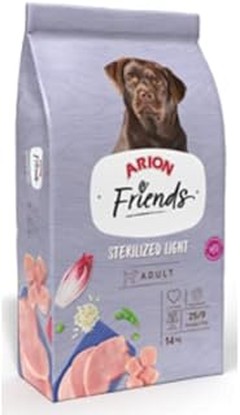 Comparativa: Pienso para perros esterilizados y pienso regular