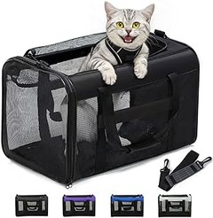 Descubre el precio promedio de los transportines para gatos grandes