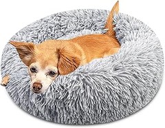 ¿Cuánto cuesta una cama para perros pequeños?