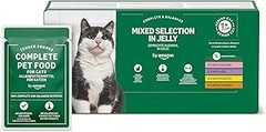 Problemas comunes al alimentar a gatos senior con comida húmeda