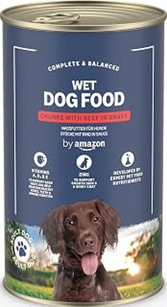 ** Errores Frecuentes al Dar Comida Húmeda a Tu Perro