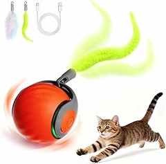 Problemas frecuentes en el uso de juguetes de inteligencia para gatos