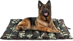 Problemas frecuentes al usar camas de viaje para perros