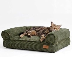 Problemas y Soluciones al Usar Camas Tipo Sofá para Gatos