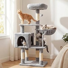 Problemas que enfrentan los gatos con rascadores con cueva