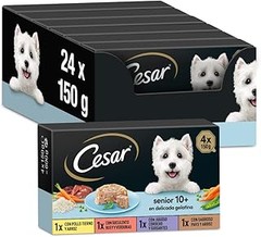 Soluciones para que tu perro acepte la comida húmeda