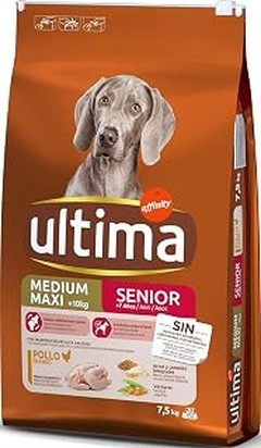 Deliciosas Recetas Caseras de Pienso para Perros Senior