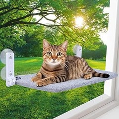 Problemas Comunes con Camas de Felpa para Gatos y sus Soluciones