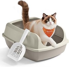 Areneros abiertos: ¿son la mejor opción para gatos mayores?