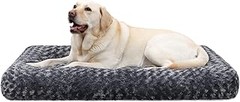 Ventajas de usar camas lavables para perros: comodidad y limpieza