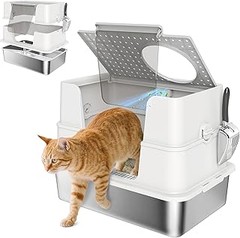 Pros y contras de los areneros con entrada superior para gatos