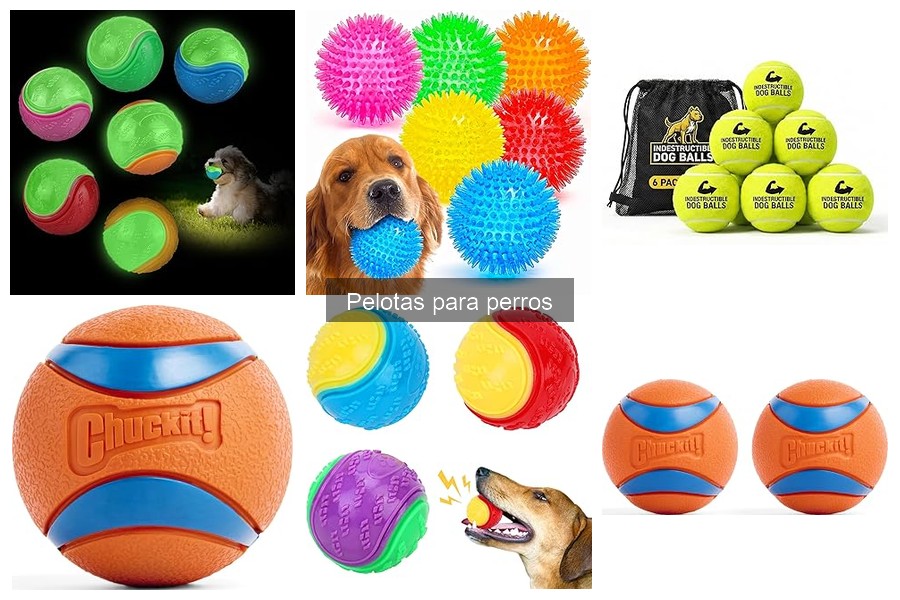 ¿A qué edad jugar con pelotas a tu perro?
