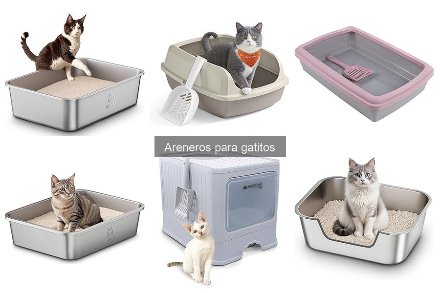 Accesorios imprescindibles para areneros de gatitos