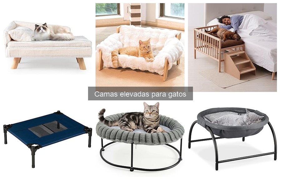 Adaptar camas elevadas para gatos mayores: Guía práctica