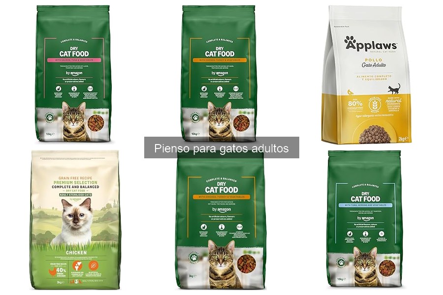 Ajusta el pienso para gatos adultos con sobrepeso