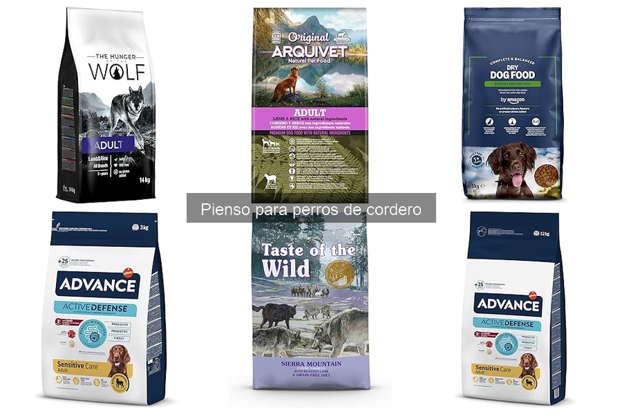 Alergias alimentarias en perros: Pienso de cordero