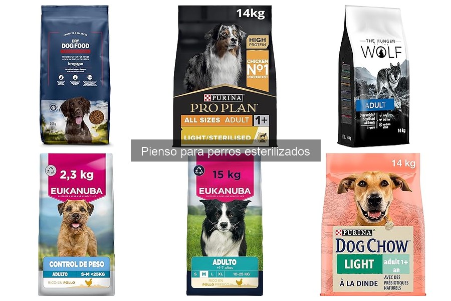 Alimentación Ideal para Perros Esterilizados: Pautas Esenciales