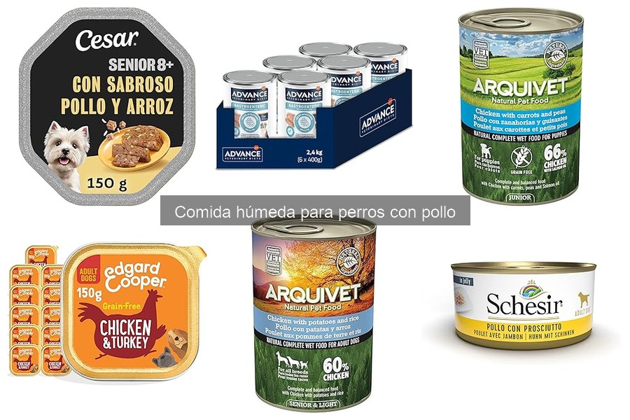 Alimentos que no mezclar con comida húmeda de pollo para perros