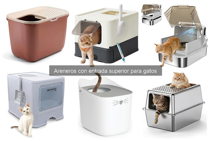 Alternativas a Areneros con Entrada Superior para Gatos