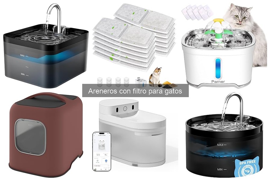 Alternativas a areneros con filtro para gatos: opciones efectivas