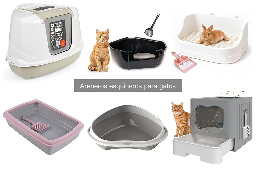 Alternativas a areneros esquineros para gatos
