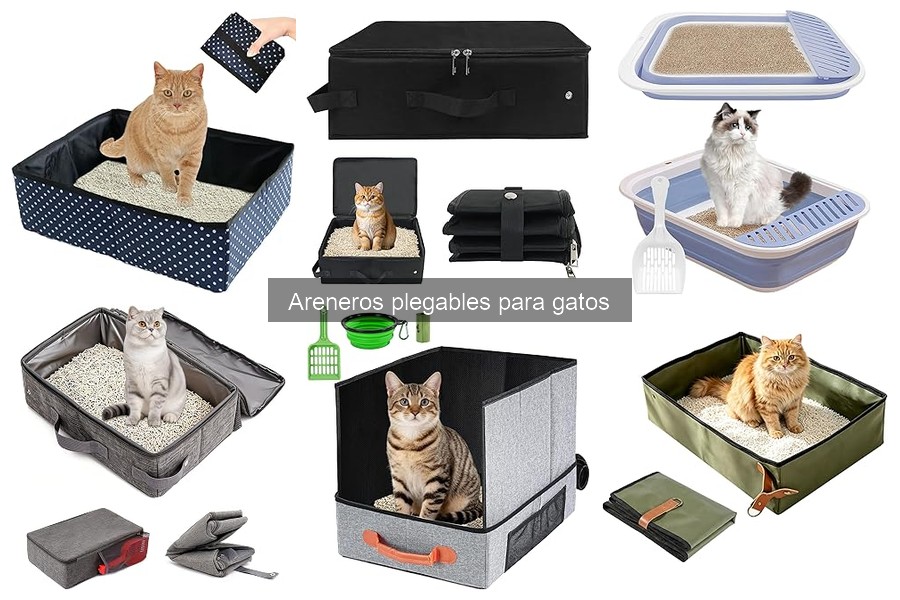 Alternativas a areneros plegables para gatos: opciones útiles