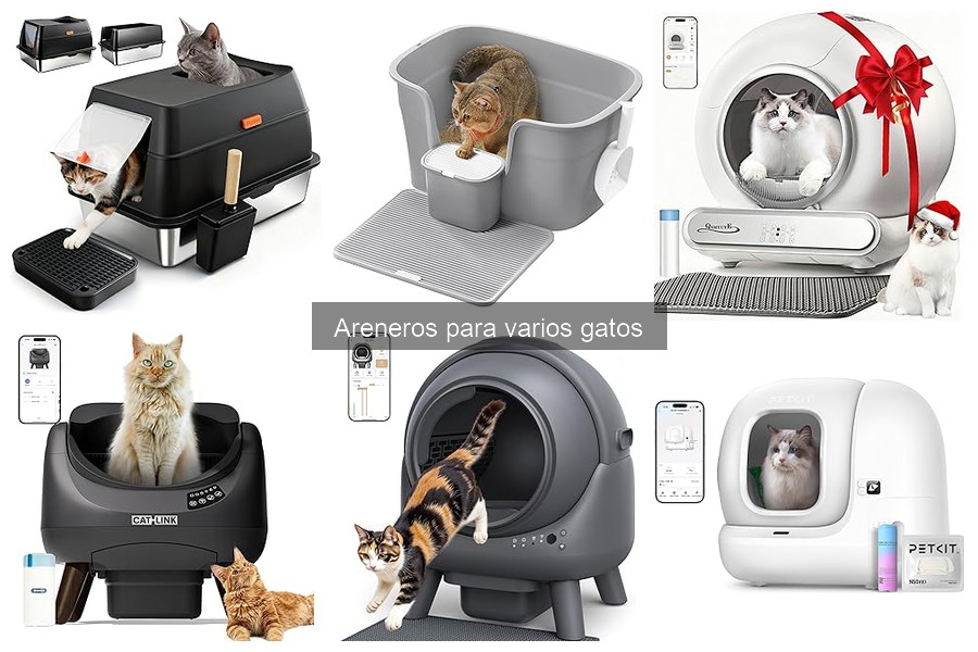 Alternativas a Areneros Tradicionales para Varios Gatos