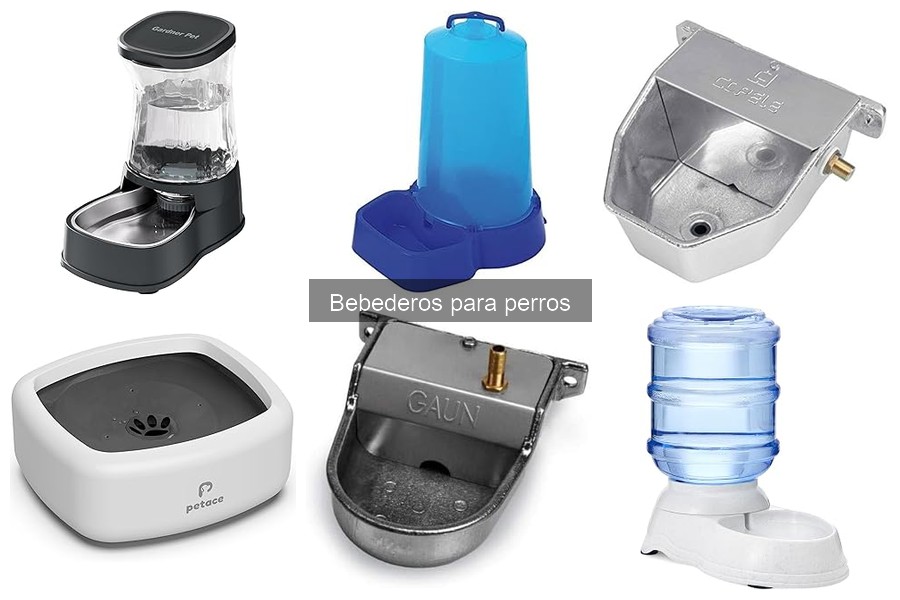 Alternativas a bebederos automáticos para perros