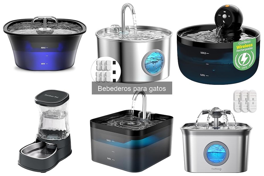 Alternativas a Bebederos Tradicionales para Gatos