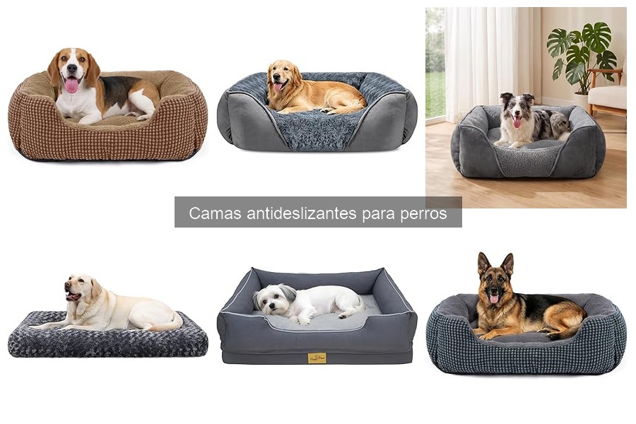 Alternativas a camas antideslizantes para perros