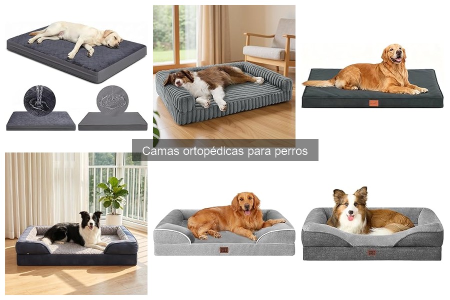 Alternativas a Camas Ortopédicas para Perros