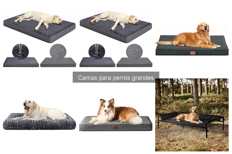 Alternativas a camas para perros grandes: opciones efectivas