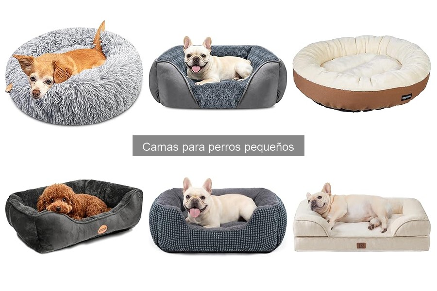 Alternativas a camas para perros pequeños: opciones cómodas