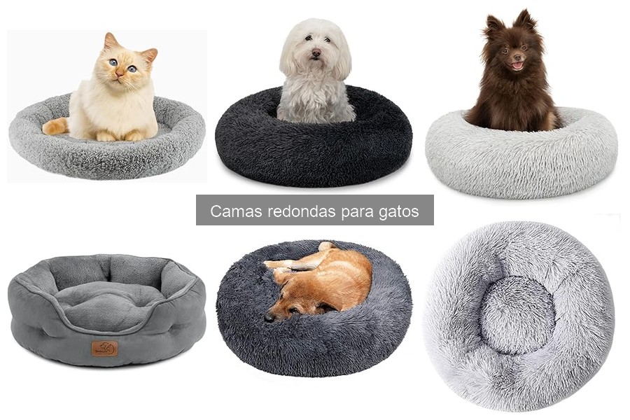 Alternativas a Camas Redondas para Gatos: Opciones Comodísimas