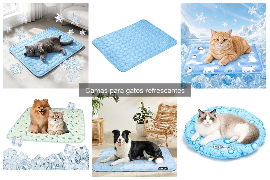 Alternativas a camas refrescantes para gatos: ¡Descúbrelas!