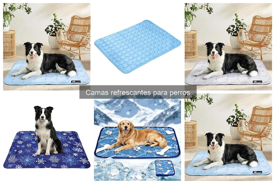 Alternativas a camas refrescantes para perros: opciones efectivas