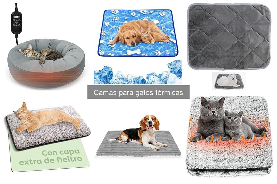 Alternativas a camas térmicas para gatos: opciones cálidas