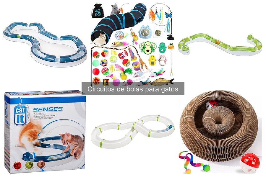 Alternativas a circuitos de bolas para gatos: ¡Descúbrelas!