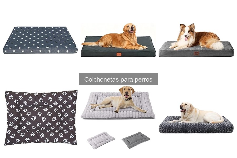 Alternativas a colchonetas para perros: camas y mantas