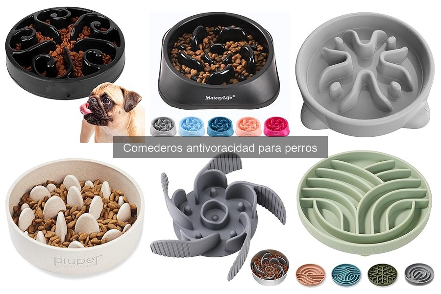 Alternativas a Comederos Antivoracidad para Perros