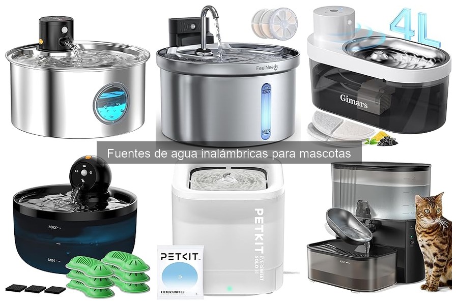 Alternativas a fuentes de agua inalámbricas para mascotas
