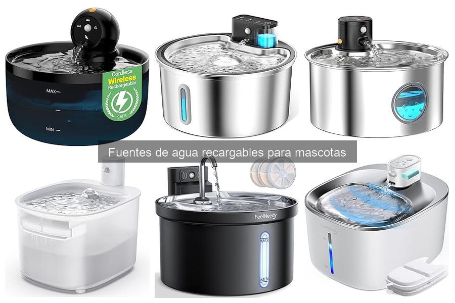 Alternativas a Fuentes de Agua Recargables para Mascotas
