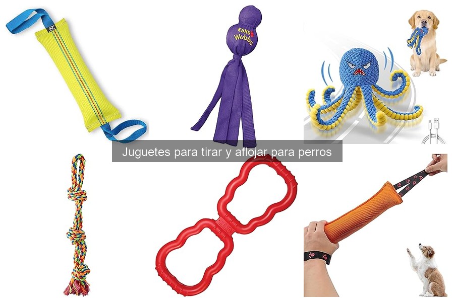 Alternativas a juguetes de tirar y aflojar para perros