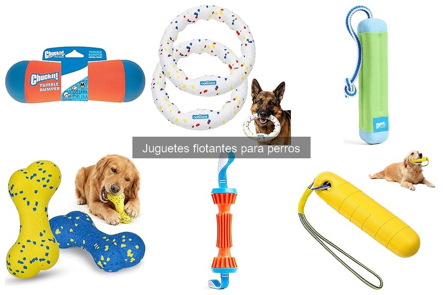 Alternativas a Juguetes Flotantes para Perros: Mejores Opciones