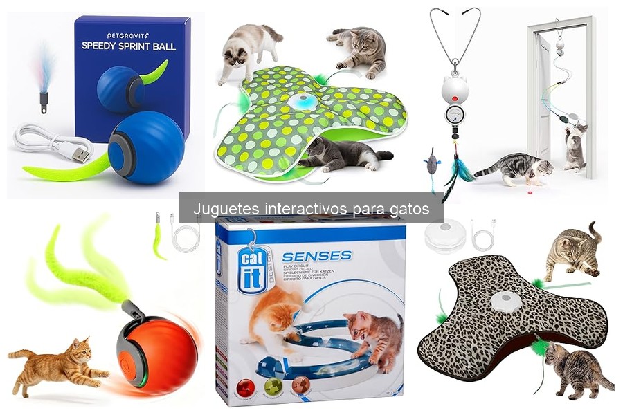 Alternativas a Juguetes Interactivos para Gatos: Ideas Creativas