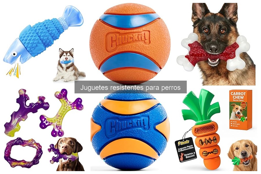 Alternativas a juguetes resistentes para perros: opciones efectivas