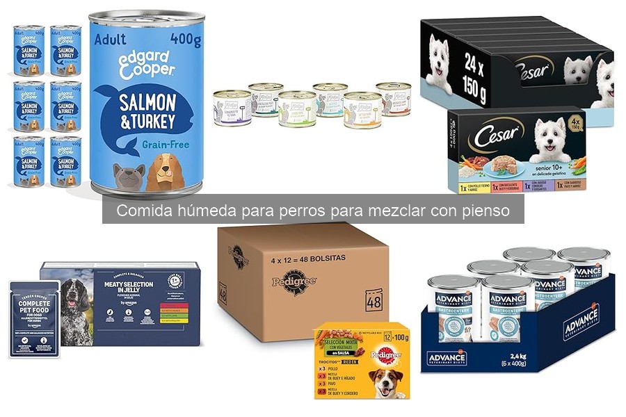Alternativas a la comida húmeda casera para perros
